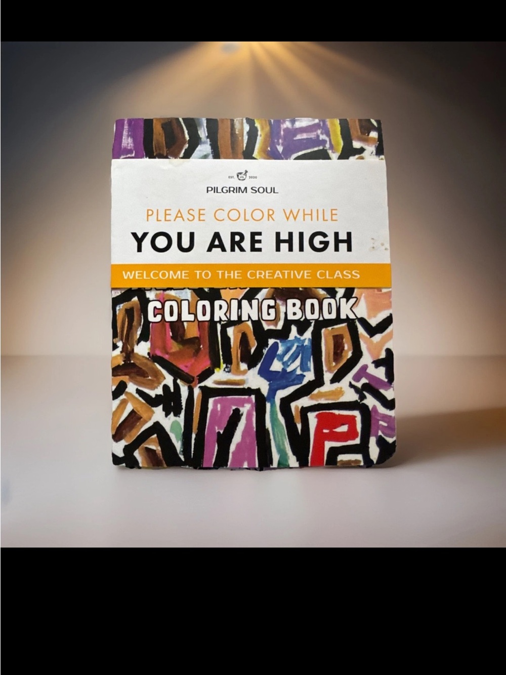Pilgrim Soul Adult Coloring Book - Please Color While You Are High